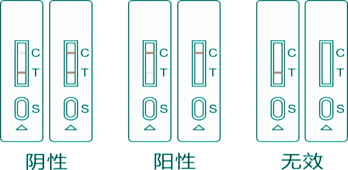 腐霉利膠體金檢測卡結(jié)果判讀