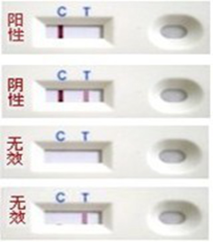 金標(biāo)檢測卡